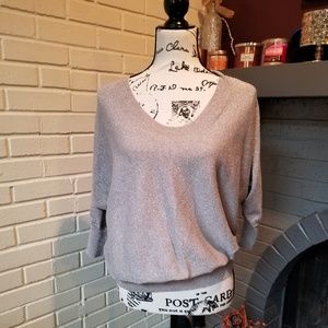 Express Holiday Shimmering Top